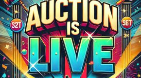 MRBA 2025 Auction is now Live