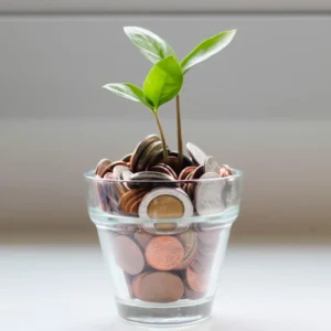 Plant growing from a glass of coins